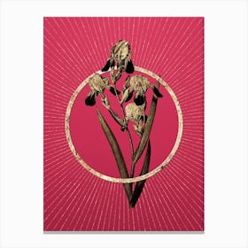 Gold Elder Scented Iris Glitter Ring Botanical Art on Viva Magenta n.0009 Canvas Print