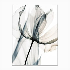 Black And White Flower Silhouette 5 Canvas Print