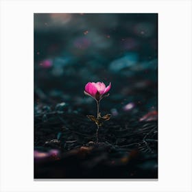 Flower In The Dark 67 Canvas Print