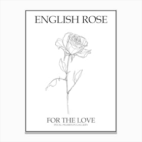 English Rose Black And White Line Drawing 28 Poster Canvas Print