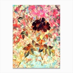 Impressionist White Rosebush Botanical Painting in Blush Pink and Gold Canvas Print