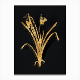 Vintage Summer Snowflake Botanical in Gold on Black n.0208 Canvas Print