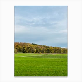 Field With Trees 10 Canvas Print