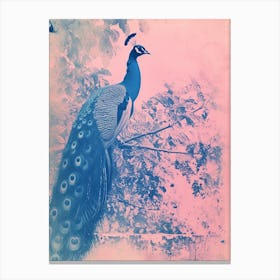 Pink & Blye Peacock In A Tree Cyanotype Inspired 1 Canvas Print