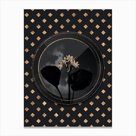 Shadowy Vintage Cardwell Lily Botanical in Black and Gold n.0033 Canvas Print
