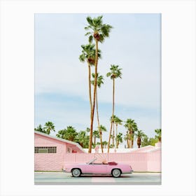 Pink Palm Springs on Film Canvas Print