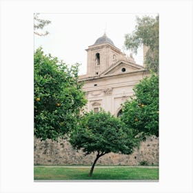 Orange Trees In Front Of A Church // Valencia, Spain, Travel Photography Canvas Print