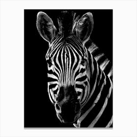 Black And White Zebra Canvas Print