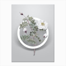 Vintage White Burnet Roses Minimalist Floral Geometric Circle on Soft Gray n.0541 Canvas Print