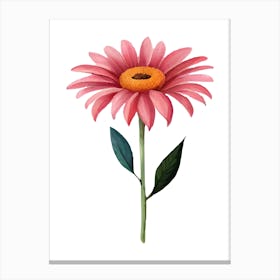 Pink Daisy Canvas Print