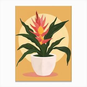 Bromeliad Plant Minimalist Illustration 1 Canvas Print