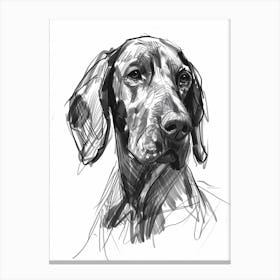 American English Hound Dog Charcoal Line 2 Canvas Print
