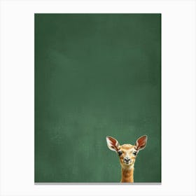 Antelope On A Green Chalkboard Canvas Print