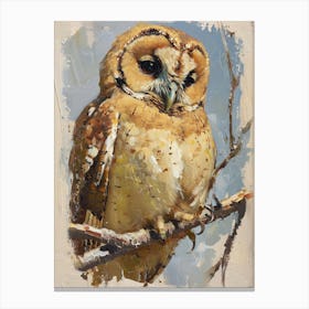 Australian Masked Owl Painting 1 Canvas Print