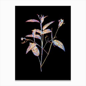 Stained Glass Maranta Arundinacea Mosaic Botanical Illustration on Black n.0006 Canvas Print