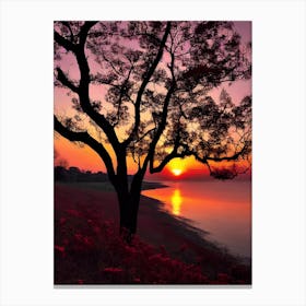 Sunset With Tree Canvas Print