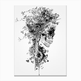 Skull Bw Canvas Print