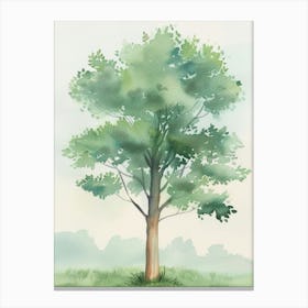 Acacia Tree Atmospheric Watercolour Painting 4 Canvas Print