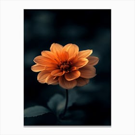 Dahlia 3 Canvas Print