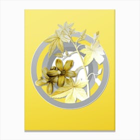 Botanical Lavatera Phoenicea in Gray and Yellow Gradient n.108 Canvas Print