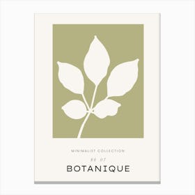 Minimalist Collection By Botanique Canvas Print