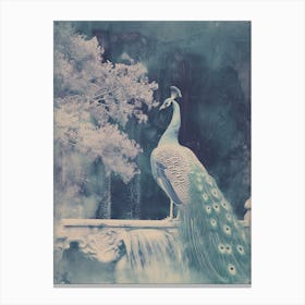 Vintage Turquoise Cyanotype Of A Peacock In A Fountain  2 Canvas Print