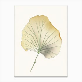 Ginkgo Leaf Illustration Canvas Print