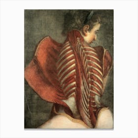 Back Of A Woman Canvas Print