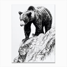 Malayan Sun Bear Walking On A Mountain Ink Illustration 3 Canvas Print