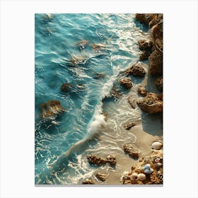 Rocky Beach Canvas Print