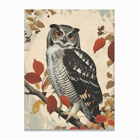 Northern Hawk Owl Vintage Illustration 4 Canvas Print