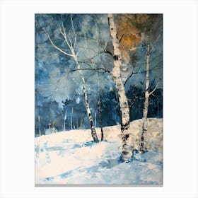 Birch Trees In Winter Canvas Print