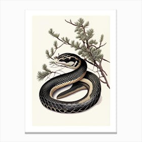 Black Pine Snake Vintage Canvas Print
