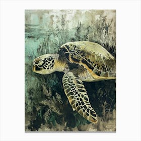 Vintage Sea Turtle In The Seaweed 2 Canvas Print