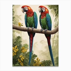 Two Parrots Illustration Canvas Print