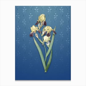 Vintage Elder Scented Iris Botanical on Bahama Blue Pattern n.2309 Canvas Print