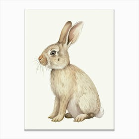 American Sable Rabbit Kids Illustration 4 Canvas Print