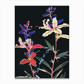 Neon Flowers On Black Lobelia 2 Canvas Print