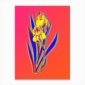 Neon German Iris Botanical in Hot Pink and Electric Blue n.0443 Canvas Print