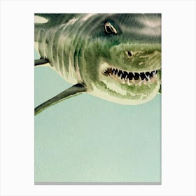 Great White Shark Storybook Watercolour Canvas Print