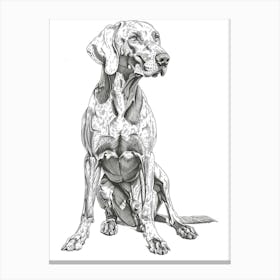 Weimaraner Dog Line Sketch 4 Canvas Print