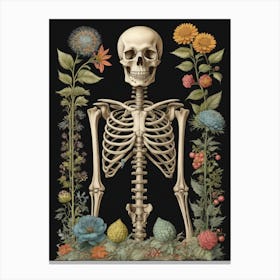 Botanical Skeleton Vintage Flowers Painting (26) Canvas Print