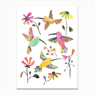 Humming Birds Canvas Print