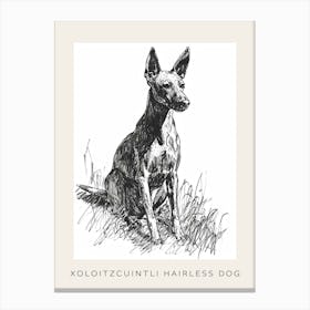 Xoloitzcuintli Hairless Dog Line Sketch 3 Poster Canvas Print