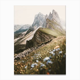 Wildflowers On Mountainside Canvas Print