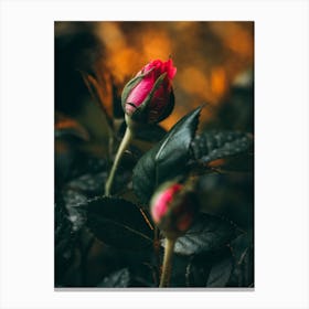 Poster Flower Art Print Canvas Print