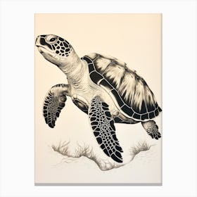 Sepia Black Contrast Turtle Illustration Canvas Print