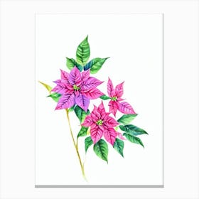 Poinsettia Watercolour Flower Canvas Print