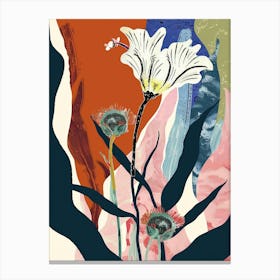 Colourful Flower Illustration Cineraria 2 Canvas Print