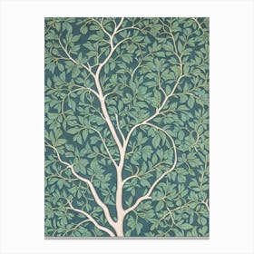 Elm tree Vintage Botanical Canvas Print